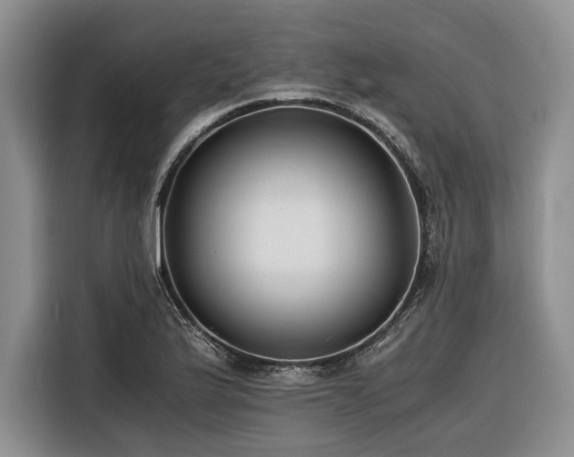 X0000116261175200912071016