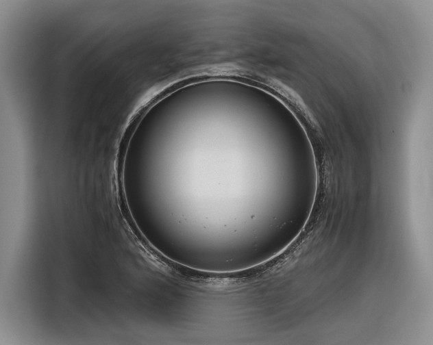 X0000116261176200912071016