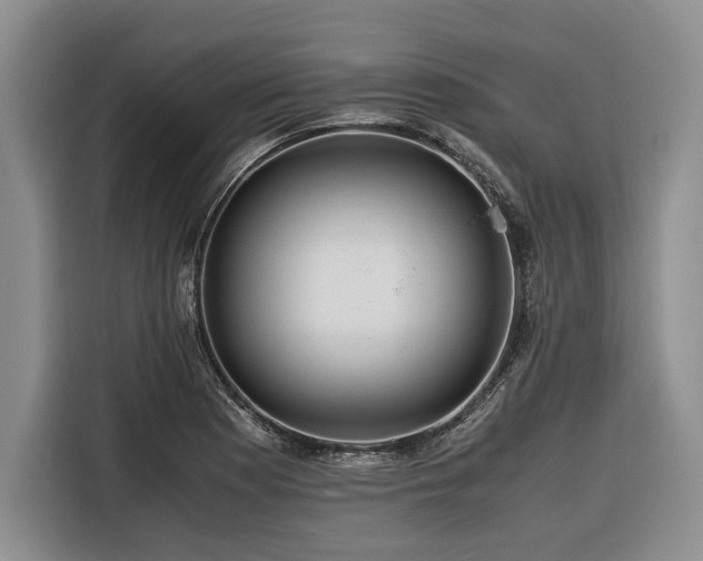X0000116261177200912071016