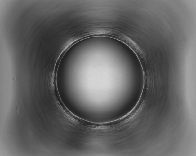 X0000116261178200912071016