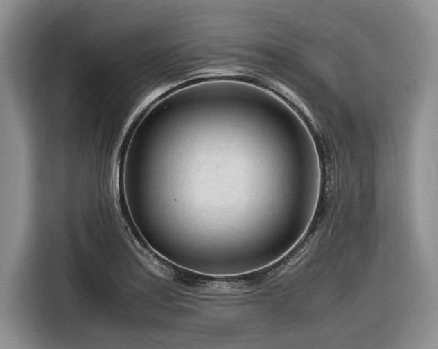 X0000116261179200912071016