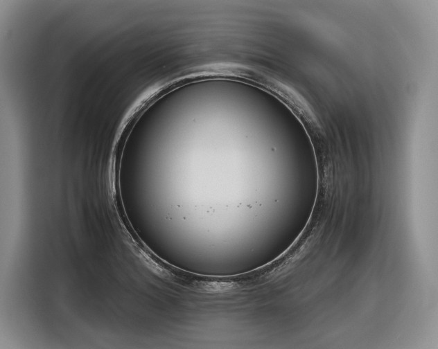 X0000116261180200912071016