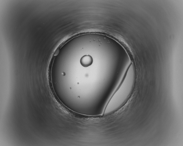 X0000116261181200912071016