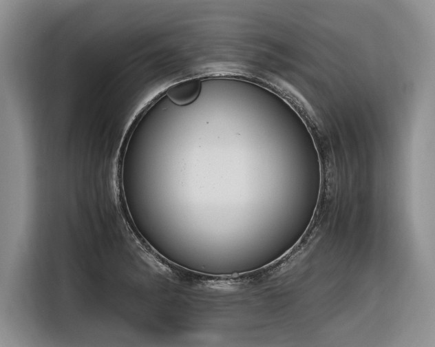 X0000116261182200912071016