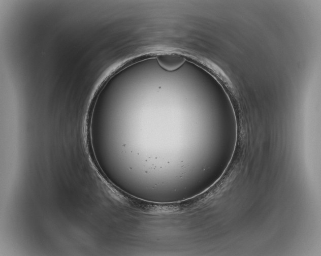 X0000116261183200912071016