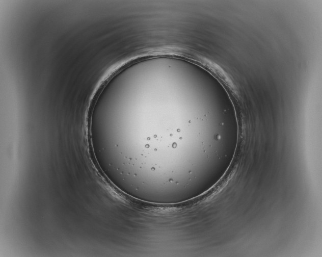 X0000116261184200912071016