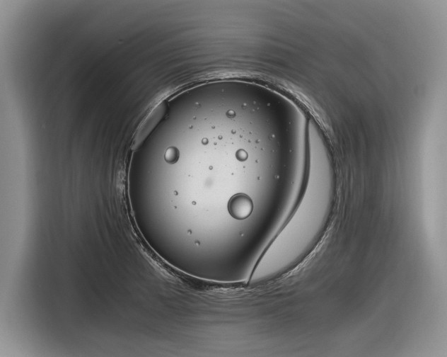 X0000116261185200912071016