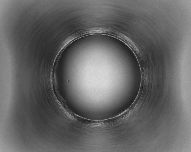 X0000116261186200912071016