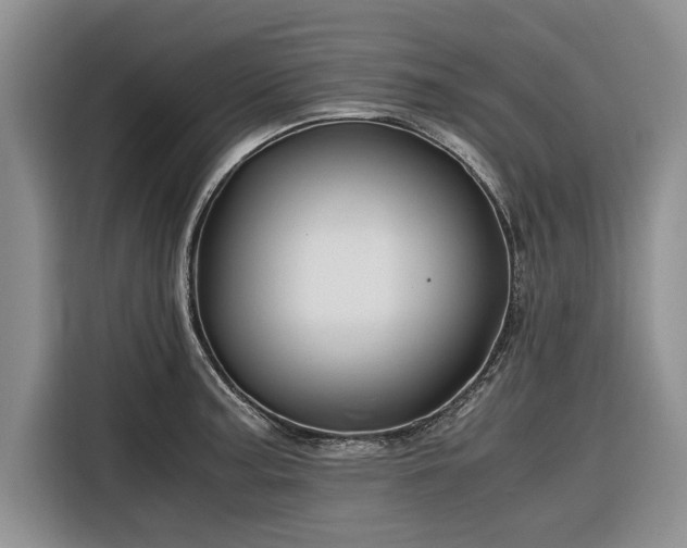 X0000116261187200912071016