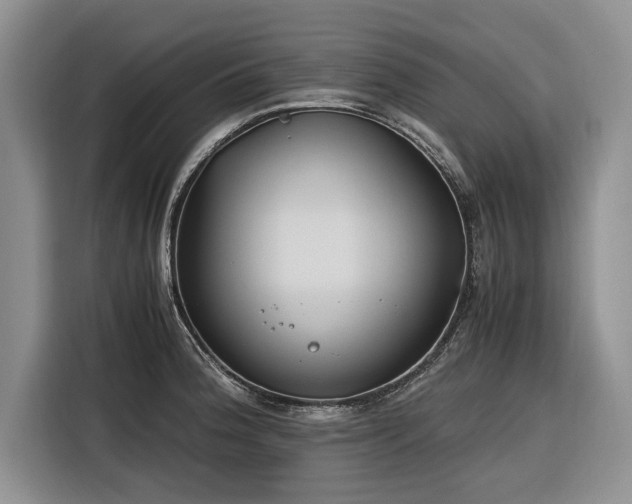 X0000116261188200912071016