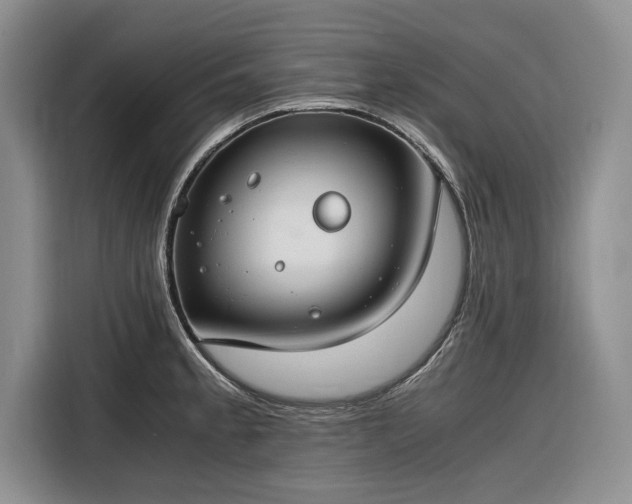 X0000116261189200912071016