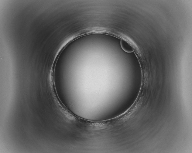 X0000116261190200912071016