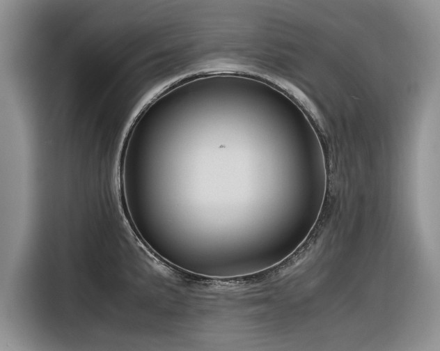 X0000116261191200912071016