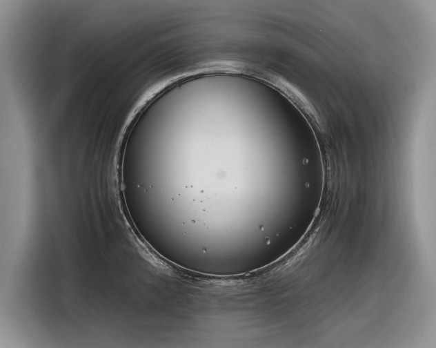 X0000116261192200912071016