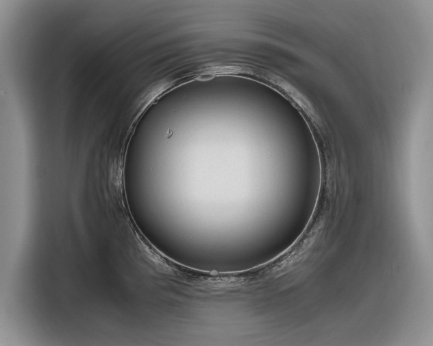 X0000116261193200912071016
