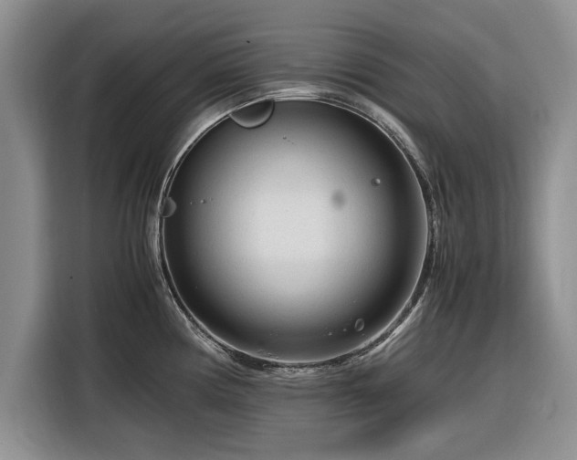 X0000116261194200912071016