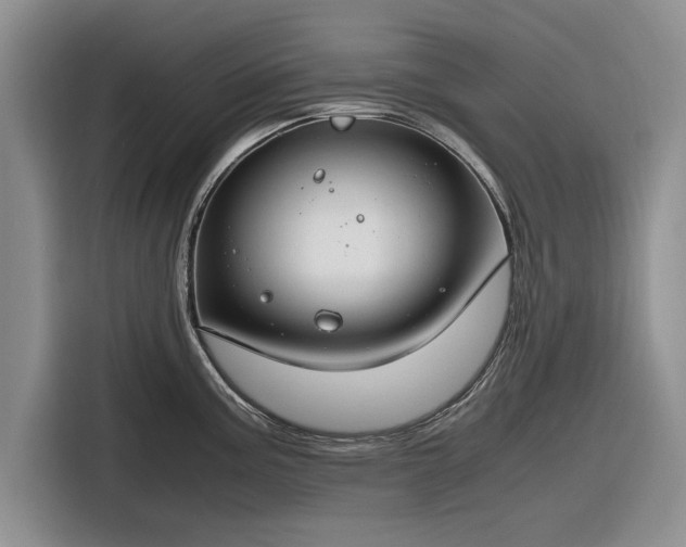 X0000116261195200912071016