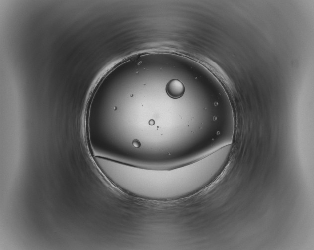 X0000116261196200912071016