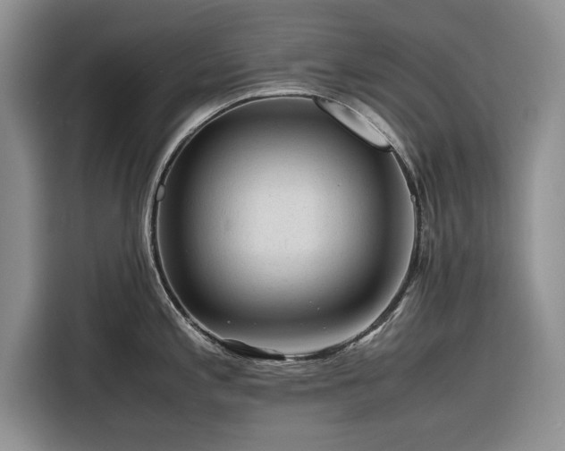 X0000116261197200912071016