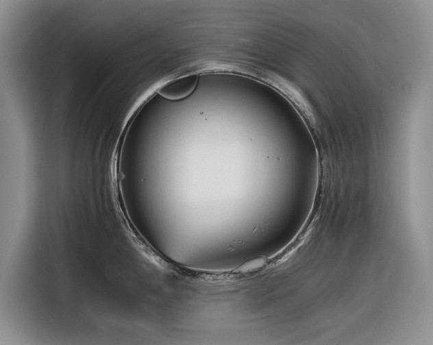 X0000116261198200912071016