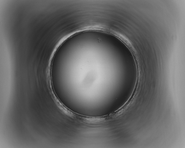 X0000116261200200912071016