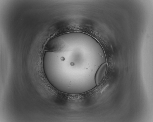 X0000116261201200912071015