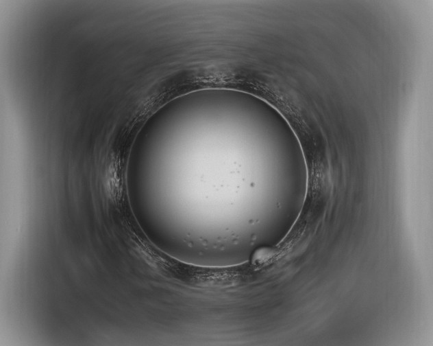 X0000116261202200912071015