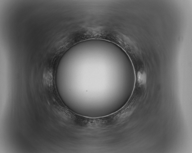 X0000116261203200912071015