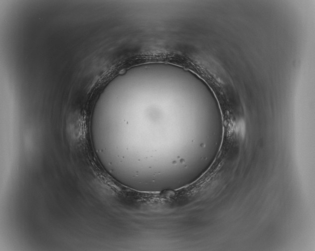 X0000116261204200912071015