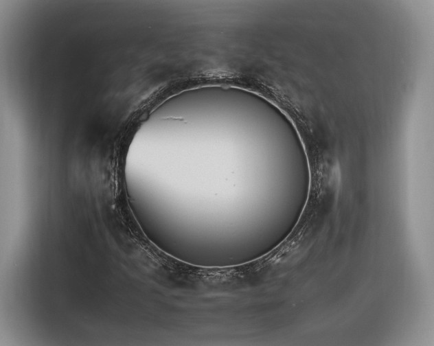 X0000116261205200912071015