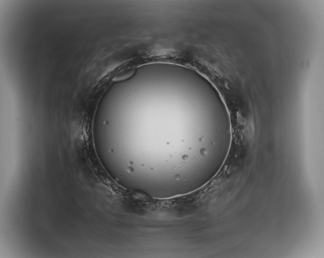 X0000116261206200912071015