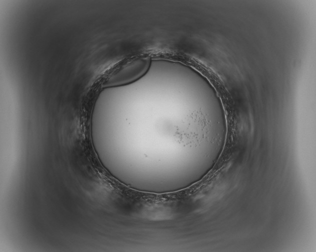 X0000116261207200912071015