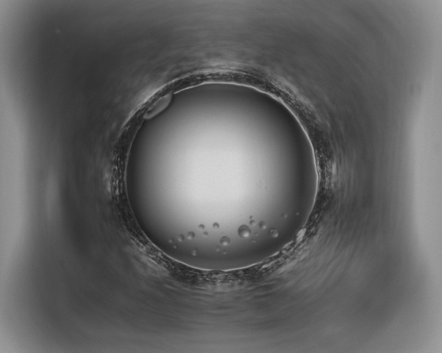 X0000116261208200912071015