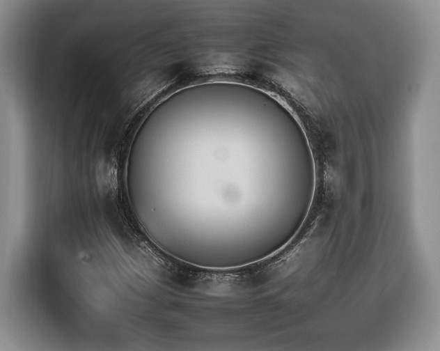 X0000116261209200912071015