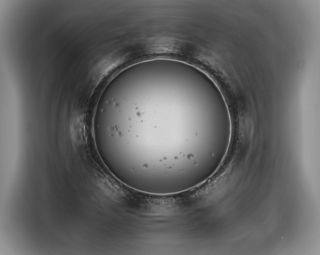 X0000116261210200912071015