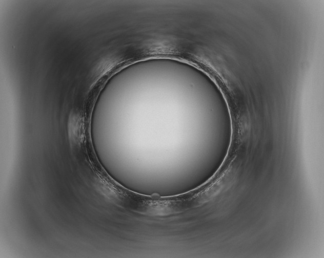 X0000116261211200912071015