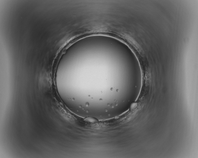 X0000116261212200912071015