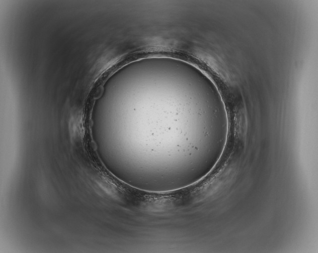 X0000116261213200912071015