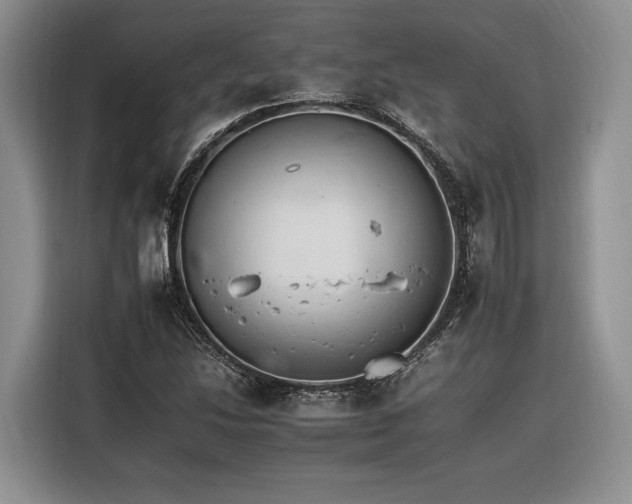 X0000116261214200912071015