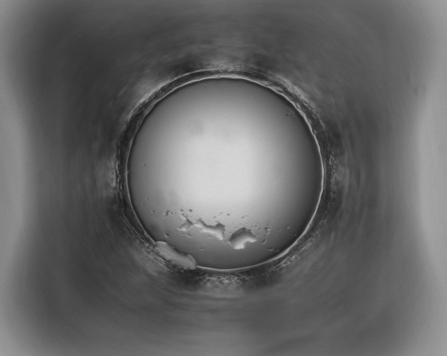 X0000116261215200912071015