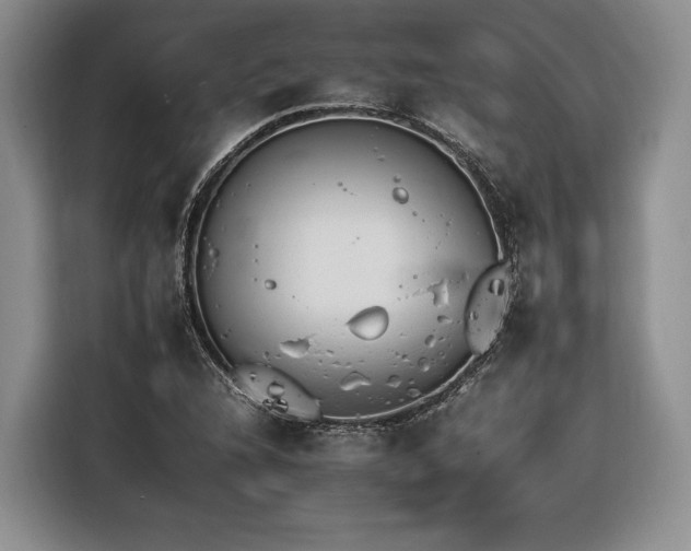 X0000116261216200912071015