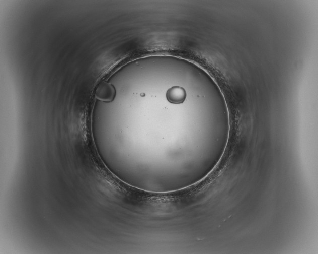 X0000116261217200912071015