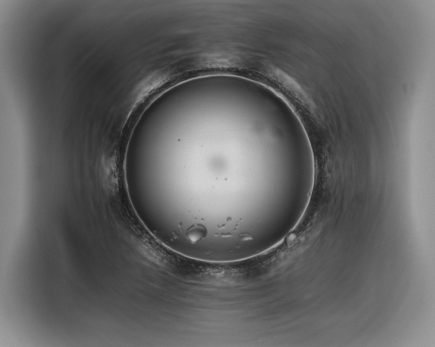 X0000116261218200912071015