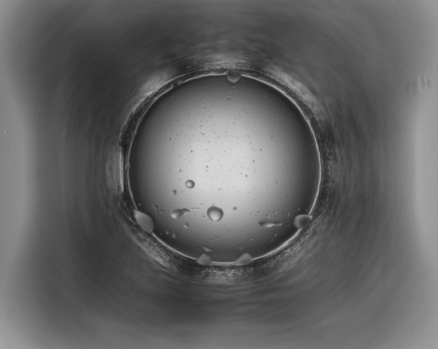 X0000116261219200912071015