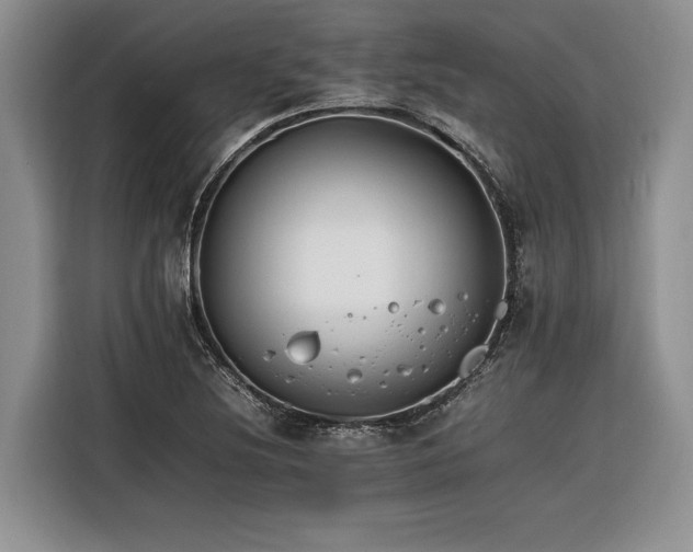 X0000116261220200912071015