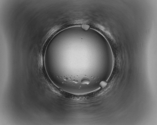 X0000116261221200912071016