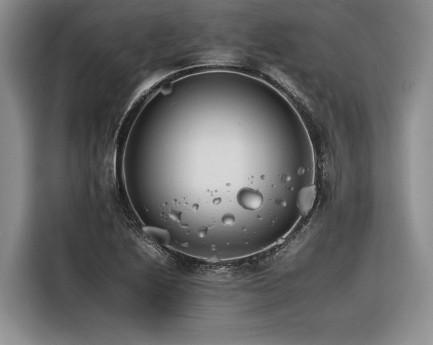 X0000116261222200912071016