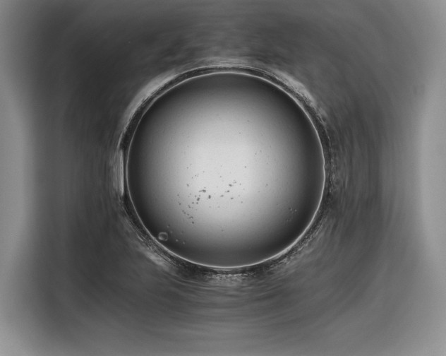X0000116261223200912071016