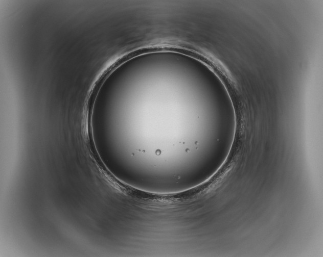 X0000116261224200912071016