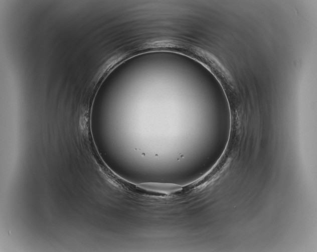 X0000116261225200912071016